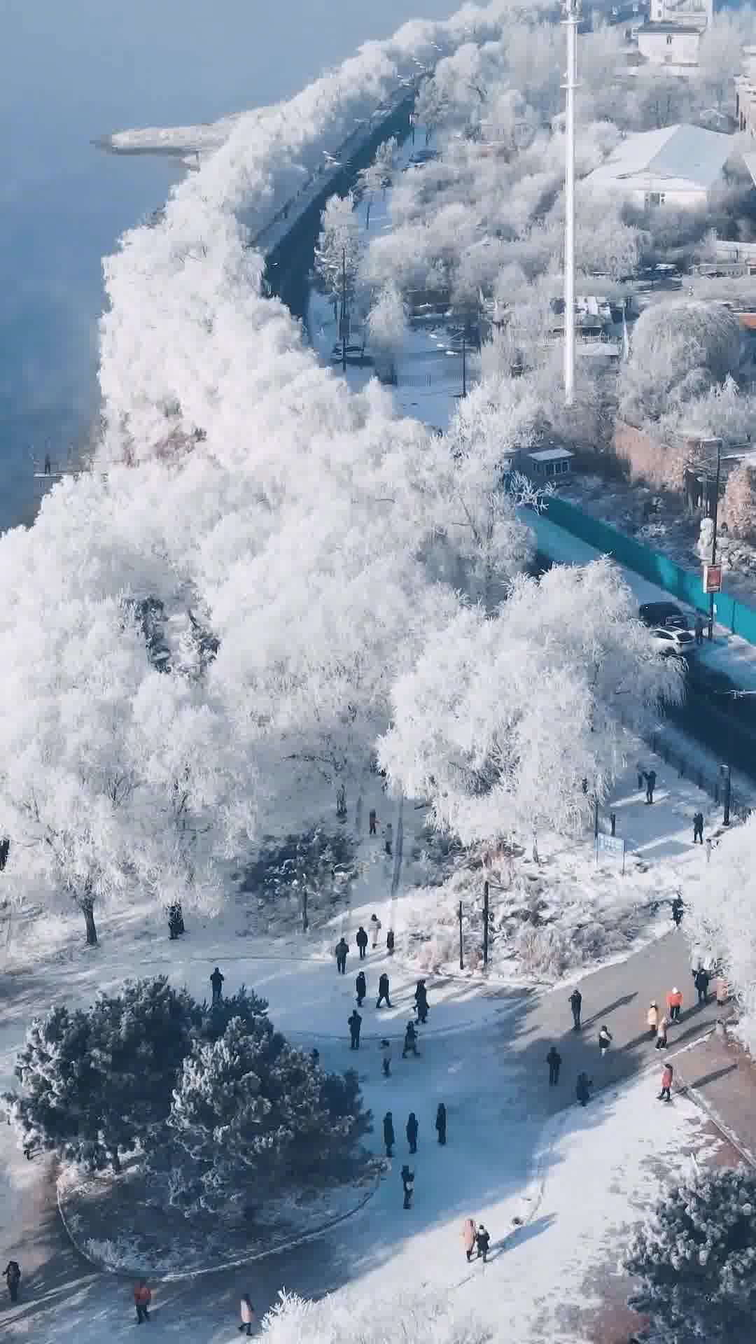 吉林日报聚焦吉林发展动态